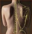 Back with neurons-Wellness in Motion