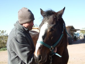Equine Therapy-Wellness In Motion